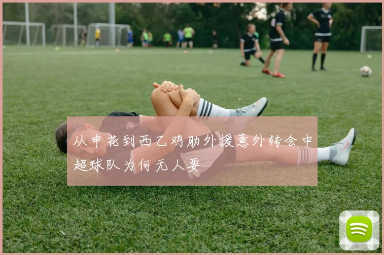 从申花到西乙鸡肋外援意外转会中超球队为何无人要