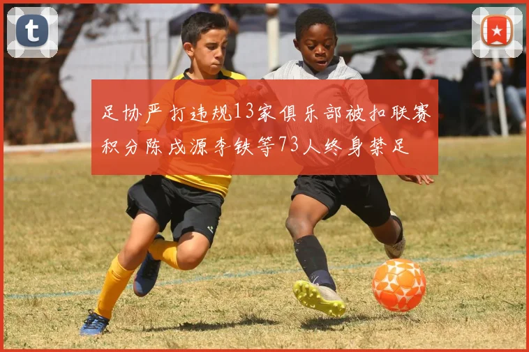 足协严打违规13家俱乐部被扣联赛积分陈戌源李铁等73人终身禁足