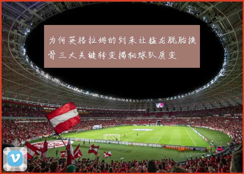 为何英格拉姆的到来让猛龙脱胎换骨三大关键转变揭秘球队质变