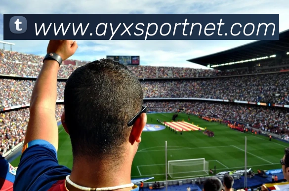 爱游戏体育品牌故事