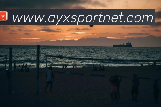 多媒体互动体验