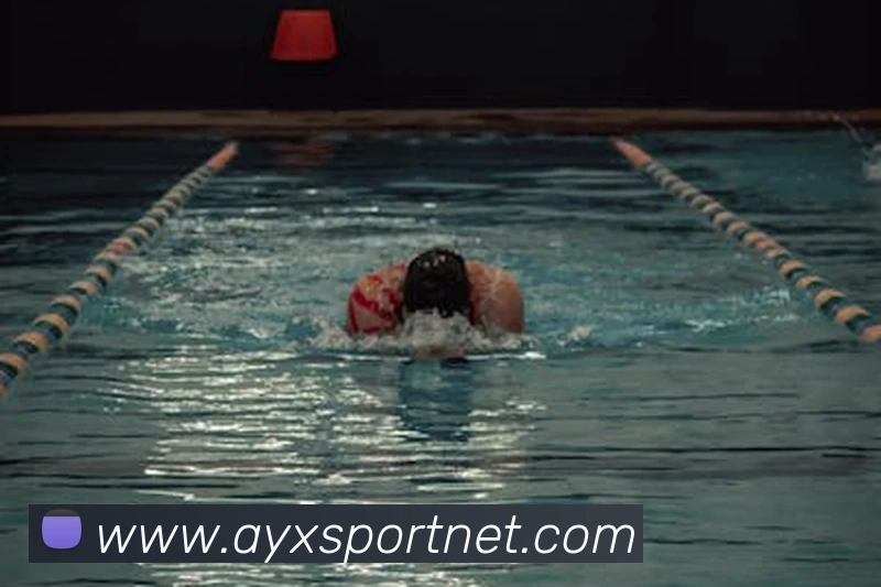 爱游戏体育APP 封面图