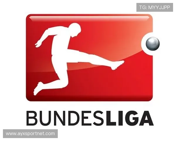 德甲球队英文缩写简称及其含义详解 德甲球队英文缩写简称及其含义详解